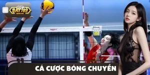 Cá Cược Bóng Chuyền Tại BAY789 - Gia Tăng Tỷ Lệ Thắng