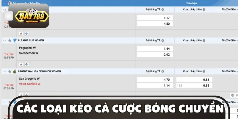 Các hình thức cá cược bóng chuyền được ưa chuộng