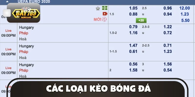 Có nhiều loại kèo bóng đá đa dạng để anh em tham khảo lựa chọn trải nghiệm