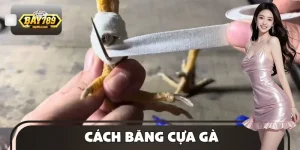 Cách Băng Cựa Gà - Hướng Dẫn Chi Tiết Cho Dân Mới Vào Nghề