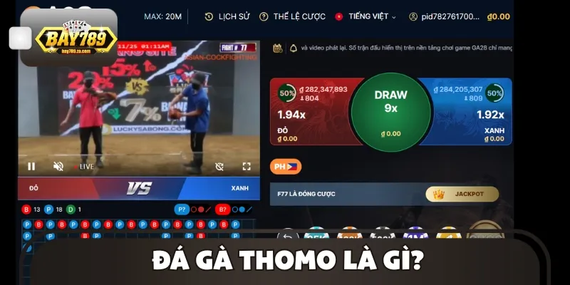 Giới thiệu khái quát về hình thức đá gà Thomo
