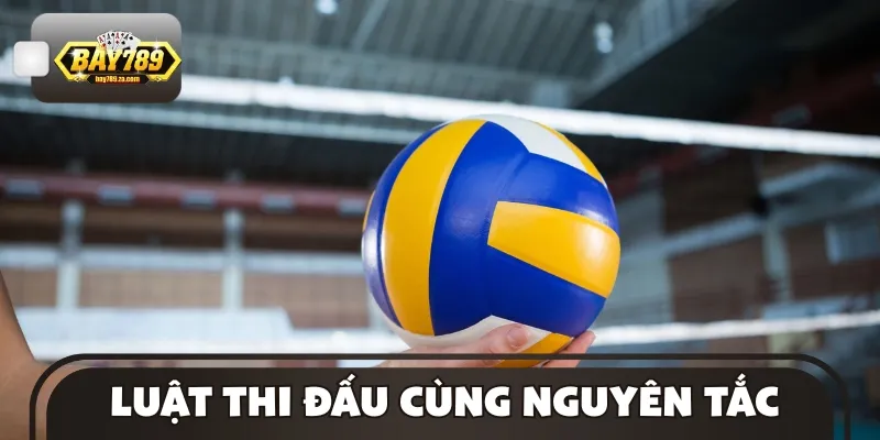Luật tham gia dự đoán bóng chuyền cần nắm