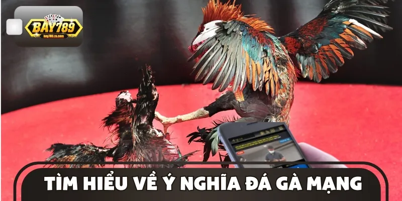 Cách đá gà mạng được cộng đồng cá cược ưa chuộngCách đá gà mạng được cộng đồng cá cược ưa chuộng