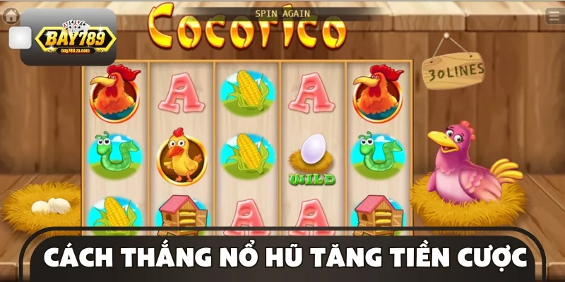 Bí quyết săn Jackpot khi tăng mức cược