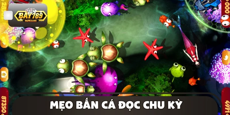 Mẹo bắn cá đọc chu kỳ